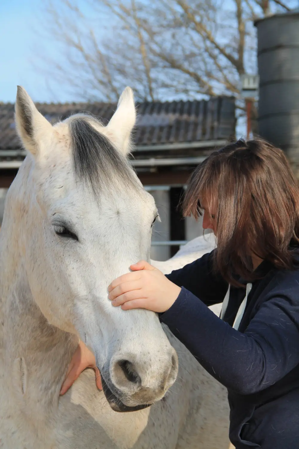 Jana Vagedes Osteopathie & Physiotherapie für Pferde